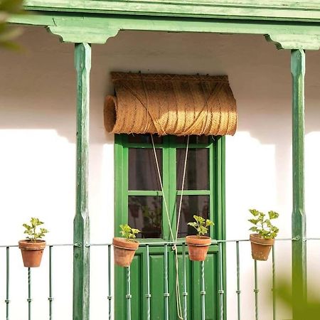 Apartamento A Estrenar En Calle Alcazares Sevilla Exteriör bild